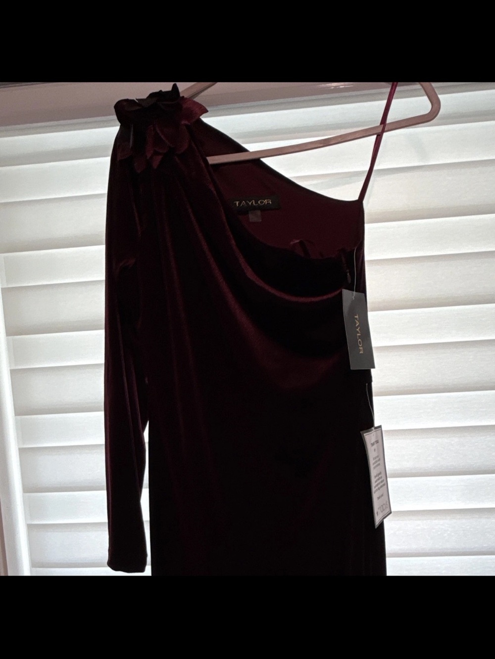 Taylor One-Shoulder Velvet Dress in Wine